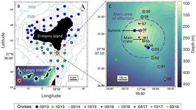 Abundance and Structure of the Zooplankton Community During a Post-eruptive Process: The Case of the Submarine Volcano Tagoro (El Hierro; Canary Islands), 2013-2018